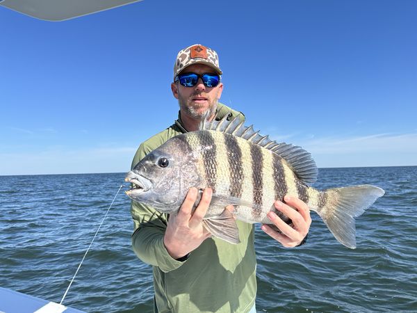 Fishing charter catch near Cumberland Island