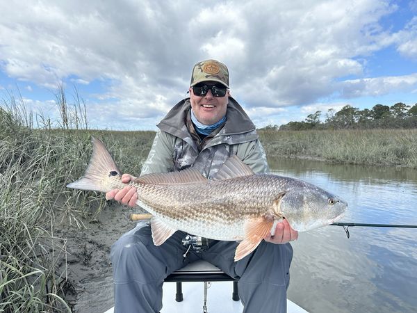 Fishing charter catch near Jekyll Island