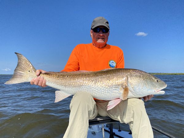 Fishing charter catch near Shellman Bluff