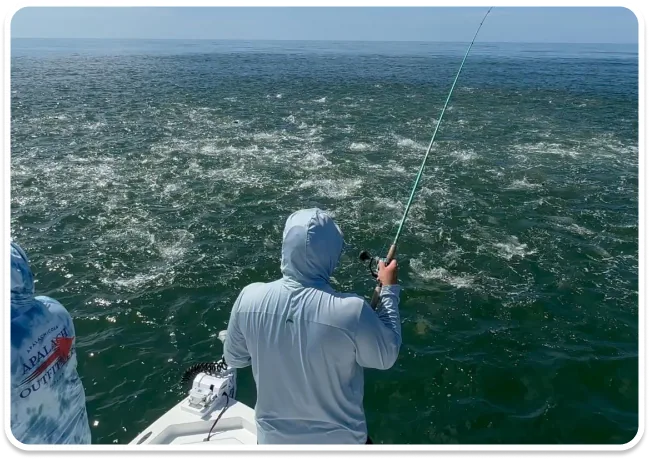 Angler fighting a tarpon among a school of fish